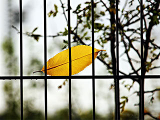 All You Need to Know about Gates | Gate Repair Azusa, CA All You Need to Know about Gates | Gate Repair Azusa, CA